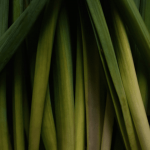 Lemongrass Essential Oil