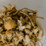 Patchouli Essential Oil
